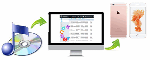 Cd を iphone に 取り込む itunes
