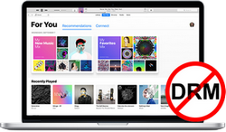 Apple Music 音楽変換ソフト