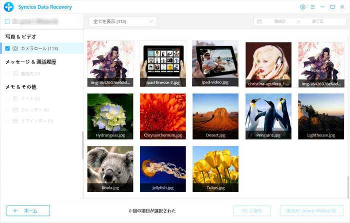 iCloud バッグアップファイルをプレビューして復元